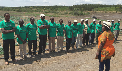 Grupo de agricultores em processo de capacitação.